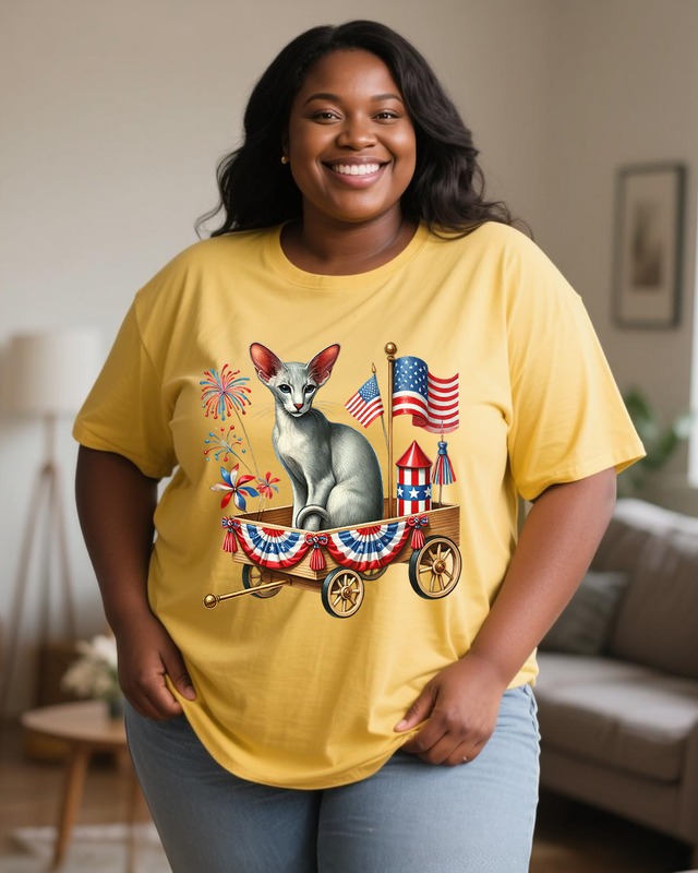 The Fourth of July Women's Plus Size T-shirts
